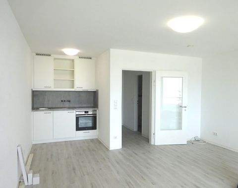 Ludwigshafen am Rhein Wohnungen, Ludwigshafen am Rhein Wohnung mieten