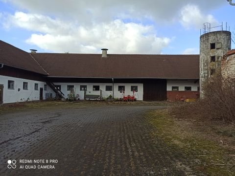 Eggenfelden Bauernhöfe, Landwirtschaft, Eggenfelden Forstwirtschaft