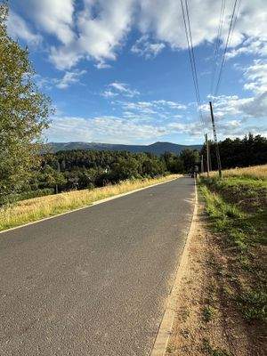 Asphaltierte Zufahrtsstraße