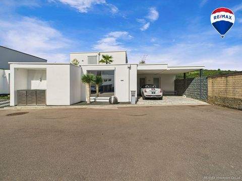 Merzig Häuser, Merzig Haus kaufen