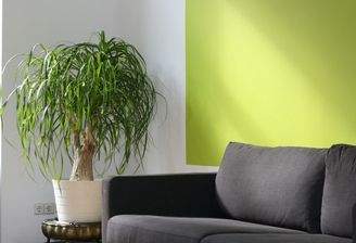 ausbildung-couch-dekoration-260046