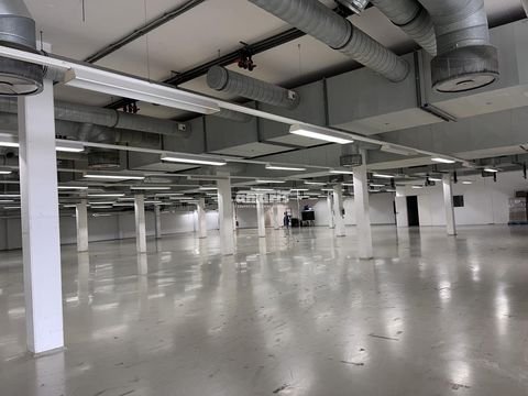 Erfurt Halle, Erfurt Hallenfläche