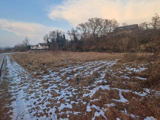 20260123_162949 (1).jpg