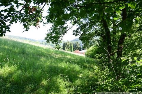 Wolfstein Grundstücke, Wolfstein Grundstück kaufen