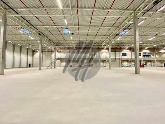 INFOS UNTER: 06171-586000