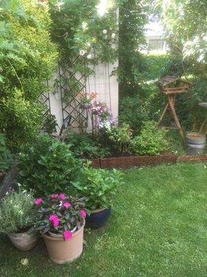 Garten/Südseite