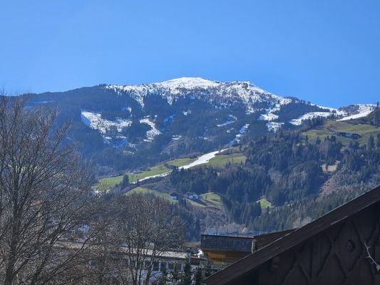 Bild 15