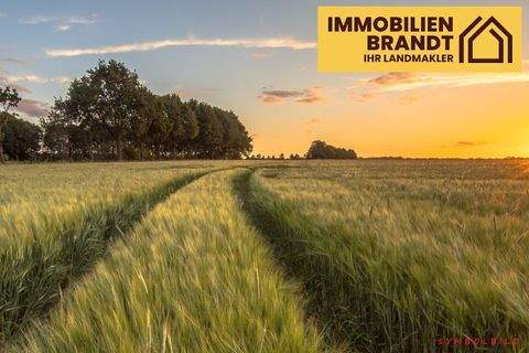 Cuxhaven Bauernhöfe, Landwirtschaft, Cuxhaven Forstwirtschaft