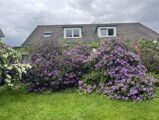 Bild4