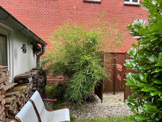 c387b34e-204b-41ec-b959-9c47b171d63b-1941527054