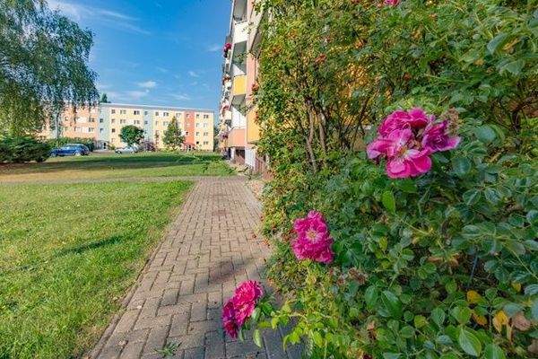 Ansicht des Objektes Balkonseite