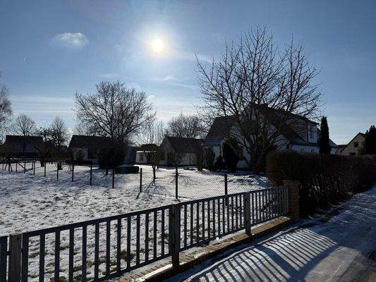 WhatsApp Image 2026-02-19 at 17.59.51.jpeg