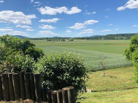 Blick in die Natur I