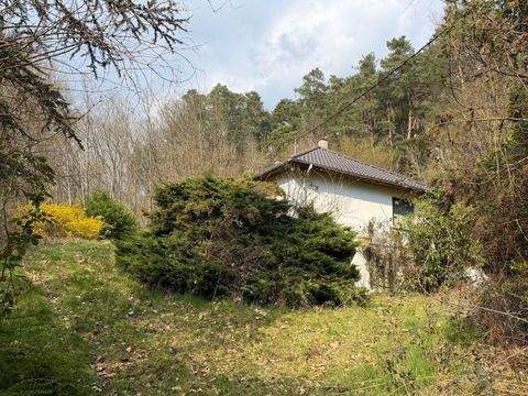 NIEDERBRONN LES BAINS (Raum) Häuser, NIEDERBRONN LES BAINS (Raum) Haus kaufen