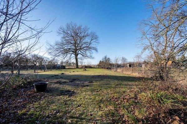 die alte Eiche am Grundstücksende