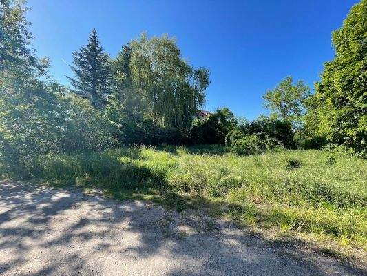 004020156800_302_301_25092023113249911