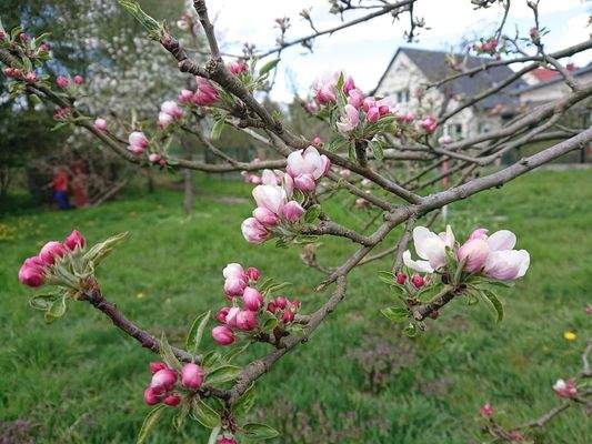 Bald ist es wieder so weit...