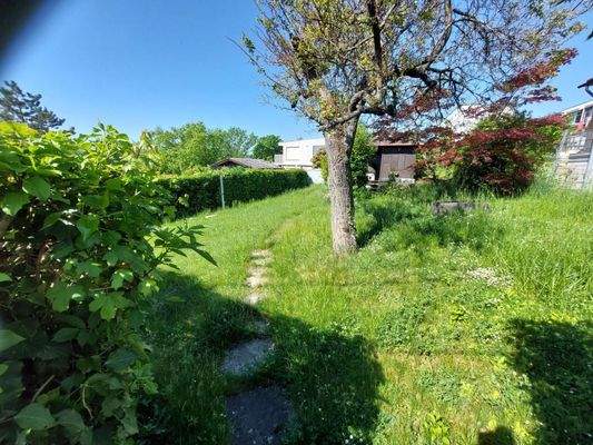 Blickrichtung Westen