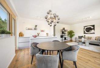 Wohn- Koch- Essbereich Beispielbild