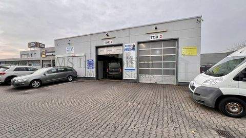 Lampertheim Halle, Lampertheim Hallenfläche