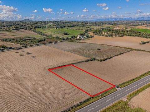 PETRA Grundstücke, PETRA Grundstück kaufen