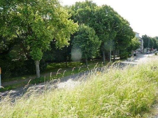 Blick aufs Grundstück