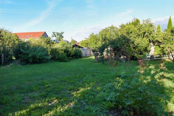 Blick in den Garten.JPG