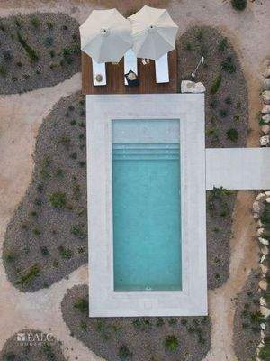 WhatsApp Image 2024-10-14 at 20.45.04 (1)