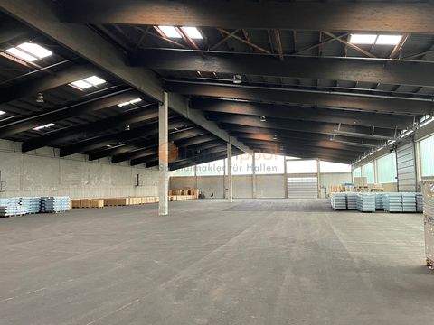 Mehren Halle, Mehren Hallenfläche