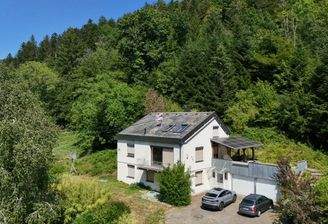 dji_fly_20260729_150320_0138_1785341646447_photo(1).jpg