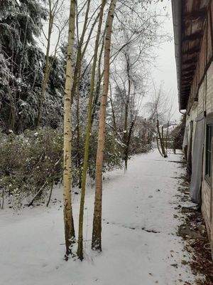 Nordostseite mit Terrassenausgängen.jpg