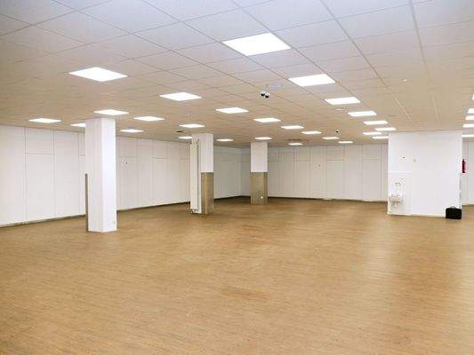 Hauptfläche Erdgeschoss