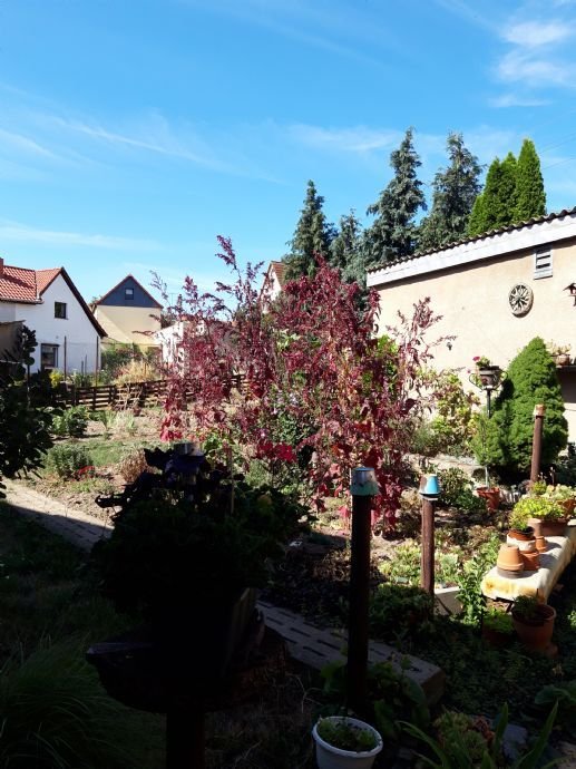 Einfamilienhaus in Höhnstedt mit Garten zu verkaufen!!!