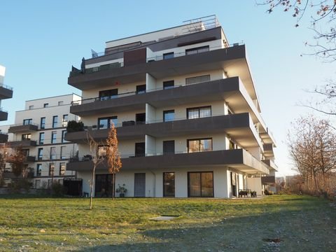 Dresden Wohnungen, Dresden Wohnung mieten