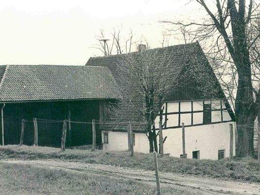 Stüttinghausen 1960