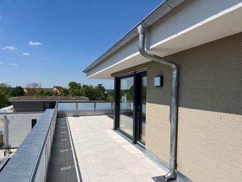 Pfaffenhofen an der Roth Wohnungen, Pfaffenhofen an der Roth Wohnung kaufen