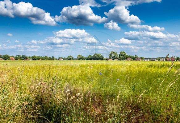 FeWo Bricke Umgebung Landschaft