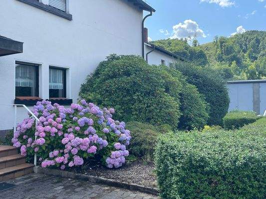 Grundstück vor dem Haus