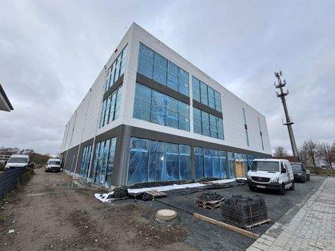 Rostock Ladenlokale, Ladenflächen 