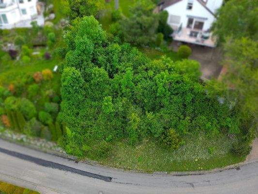 Platz für IHR Traumhaus!