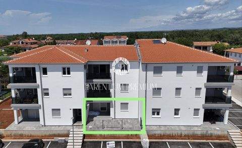 Luka Wohnungen, Luka Wohnung kaufen