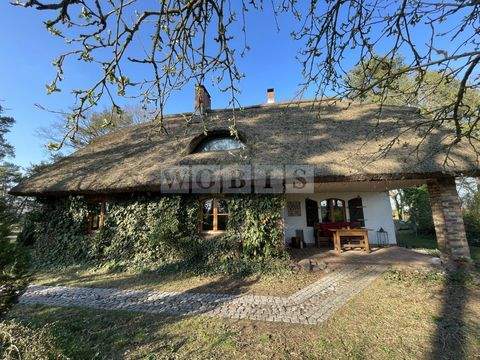 Leopoldshagen Häuser, Leopoldshagen Haus kaufen