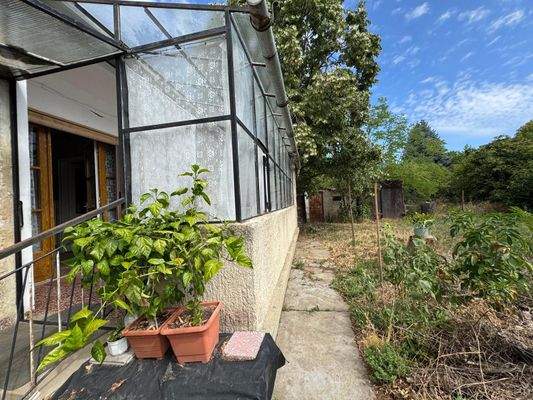 WhatsApp-kép, 2025-07-27, 06.35.08_e6a4e5d0.jpg