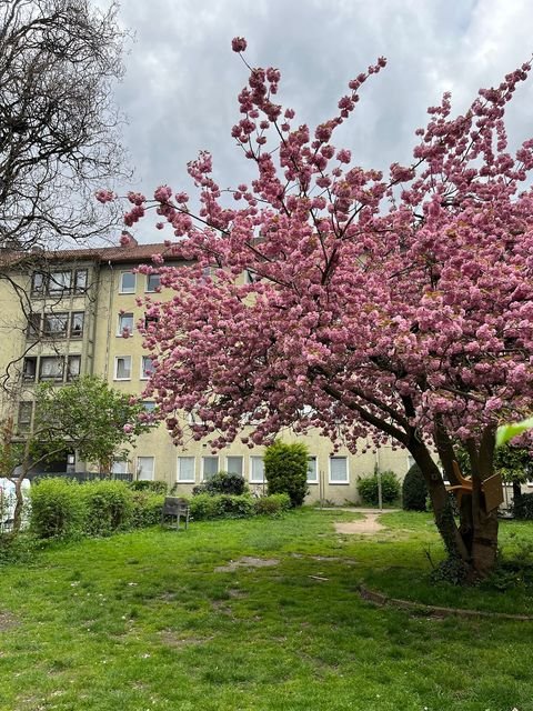 Bielefeld Wohnungen, Bielefeld Wohnung mieten