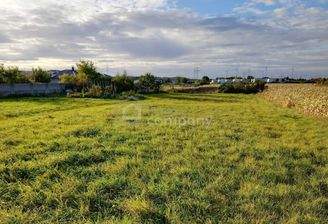 Grundstück Parndorf_ Blick nach Westen