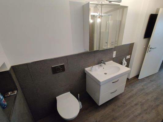 Waschtisch und WC