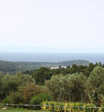 Chalkidiki Bauernhöfe, Landwirtschaft, Chalkidiki Forstwirtschaft
