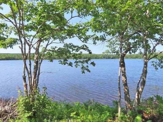 Cape Breton - Third Lake - Wunderschönes See-Uferg