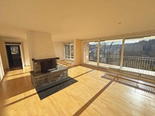 EG -  großer Wohnbereich mit Kamin