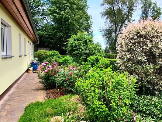 vorderer Garten